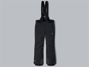 Mens skipants